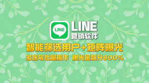 Discussing LINE's overseas marketing strategies